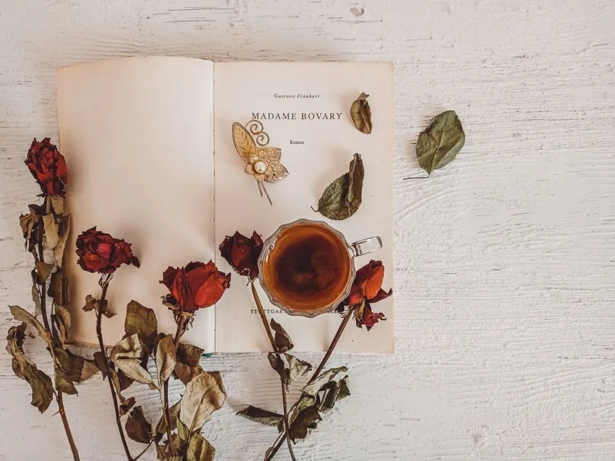Slow-Burn Historical Romance: What Makes It Work
