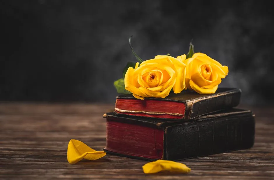 Closed-Door vs Open-Door Historical Romance